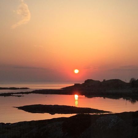 Superior Cottage With Sea View In Senja Senjehesten المظهر الخارجي الصورة